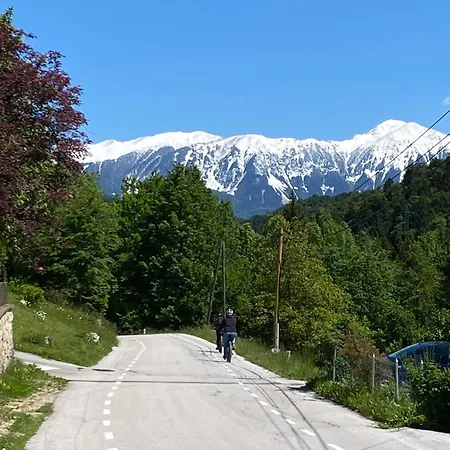 Near Bled *